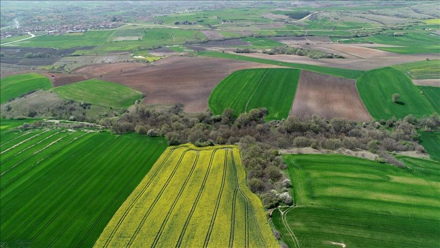 TOKİ 29 ilde 449 arsa satıyor! İşte iller, fiyatlar ve ödeme planı 4